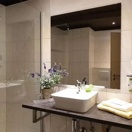 Hotel Contel Koblenz (Rhineland-Palatinate)